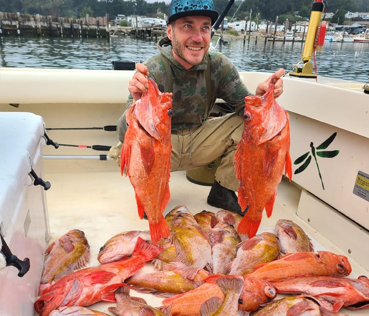 Rockfish And Lingcod