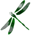 dragonfly-logo