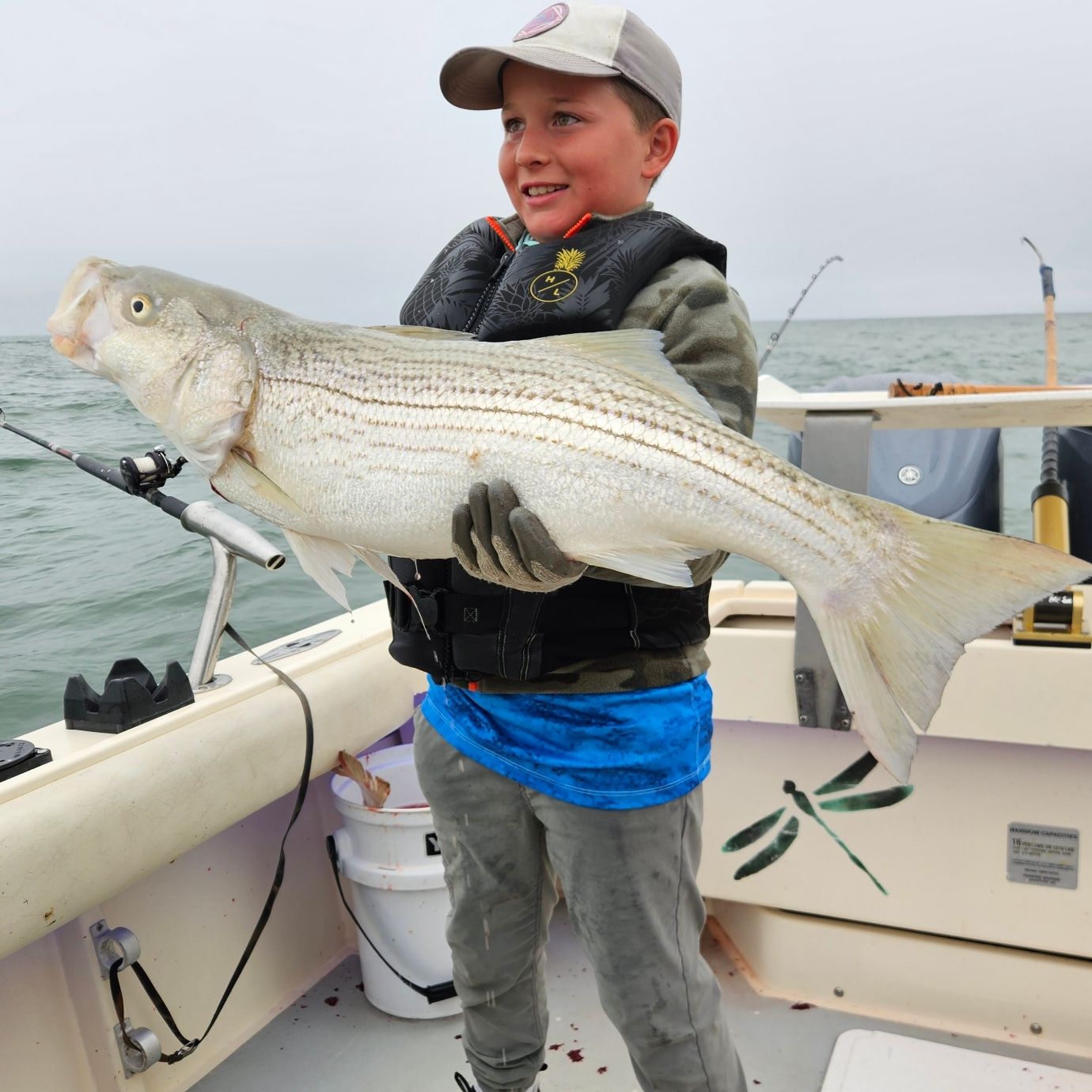 Reel Obsession Sportfishing: Your Premier Bay Area Sportfishing Adventure